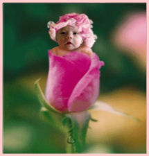 baby.jpg