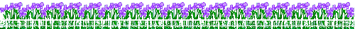purpleflowers.gif